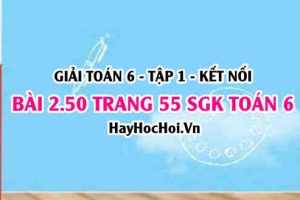 Giải bài 2.50 trang 55 Toán 6 Tập 1 SGK Kết nối tri thức